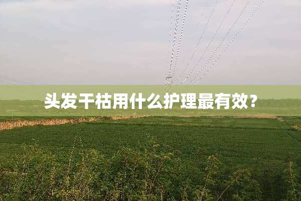 头发干枯用什么护理最有效？