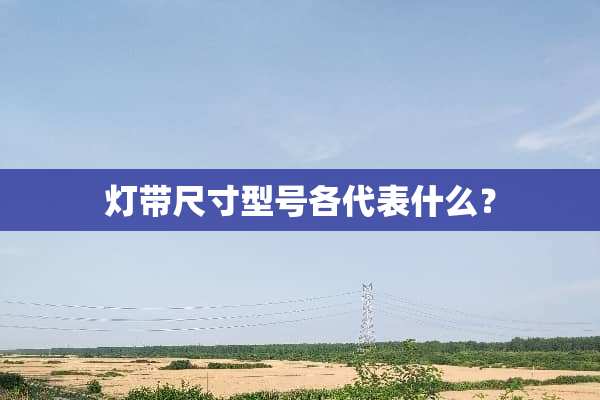 灯带尺寸型号各代表什么？