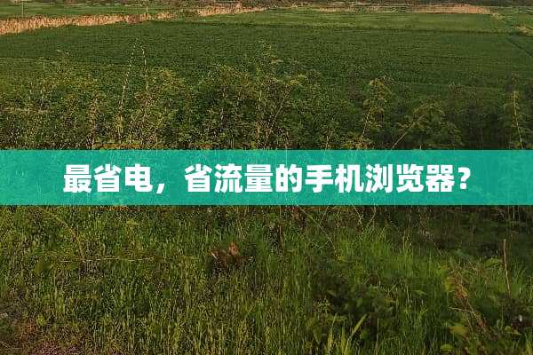 最省电，省流量的手机浏览器？
