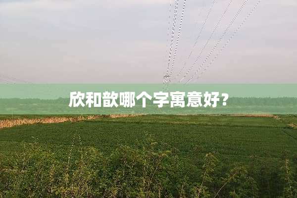 欣和歆哪个字寓意好？