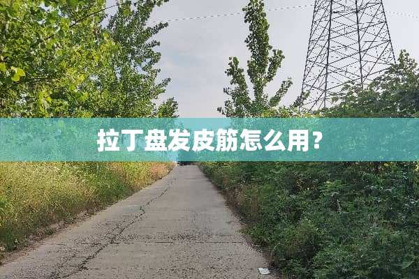 拉丁盘发皮筋怎么用？