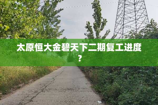 太原恒大金碧天下二期复工进度？