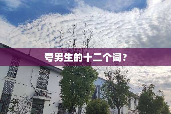 夸男生的十二个词？