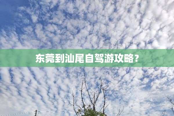 东莞到汕尾自驾游攻略？