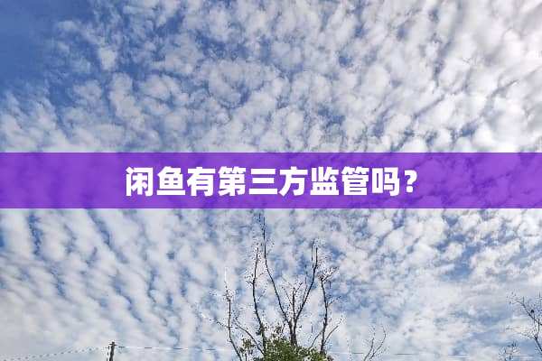 闲鱼有第三方监管吗？