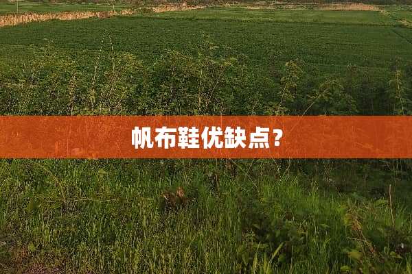 帆布鞋优缺点？