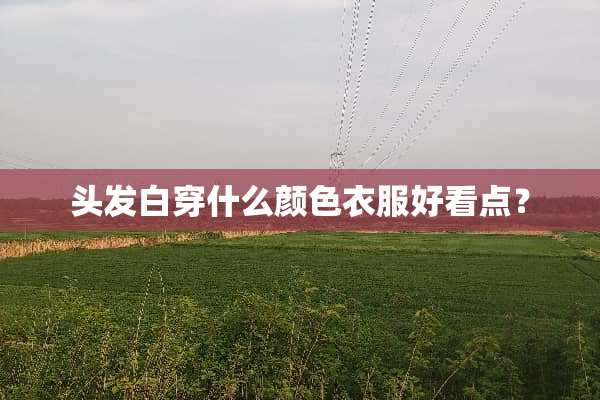 头发白穿什么颜色衣服好看点？