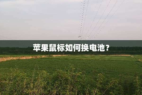 苹果鼠标如何换电池？