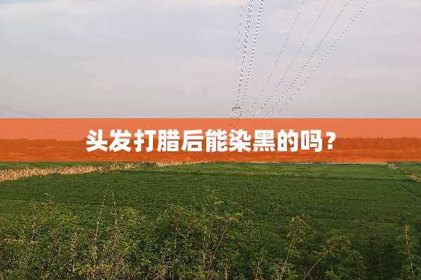 头发打腊后能染黑的吗？