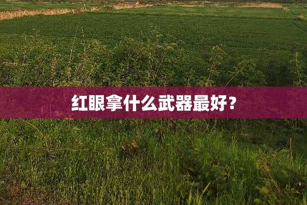 红眼拿什么**最好？