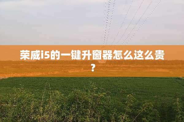 荣威i5的一键升窗器怎么这么贵？