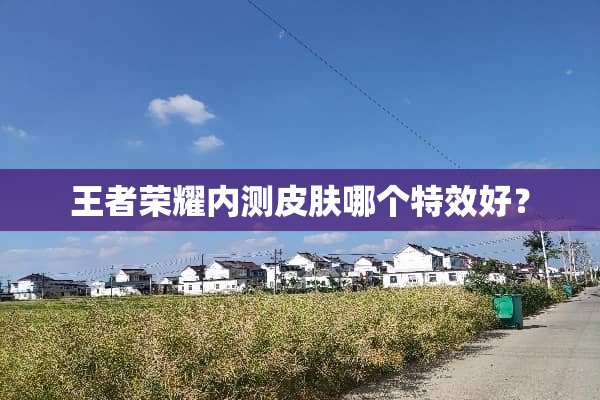 王者荣耀内测皮肤哪个特效好？