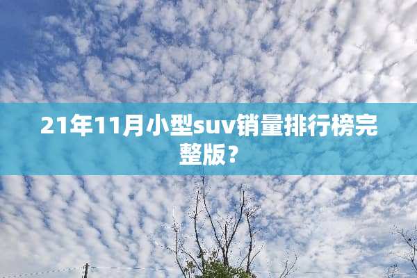 21年11月小型suv销量排行榜完整版？