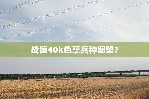 战锤40k色孽兵种图鉴？