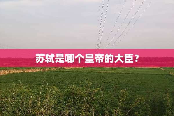 苏轼是哪个皇帝的大臣？
