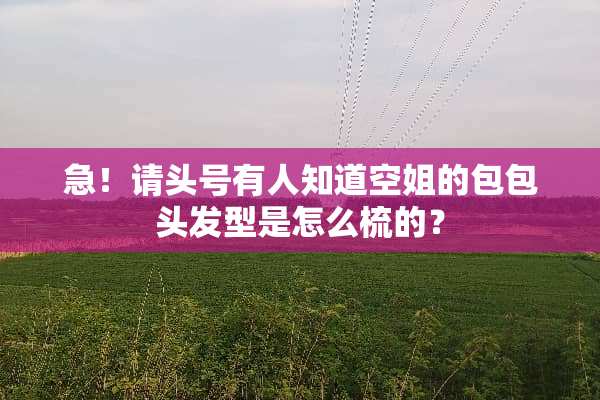 急！请头号有人知道空姐的包包头发型是怎么梳的？