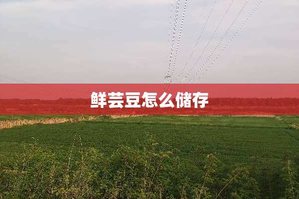 鲜芸豆怎么储存