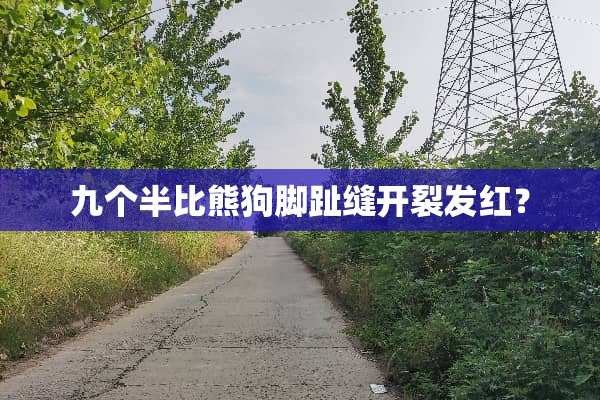 九个半比熊狗脚趾缝开裂发红？