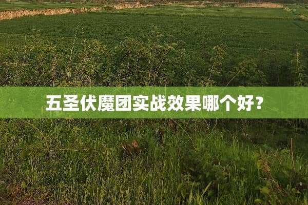 五圣伏魔团实战效果哪个好？