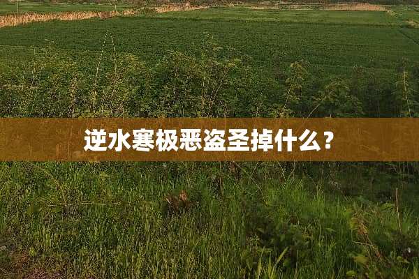 逆水寒极恶盗圣掉什么？