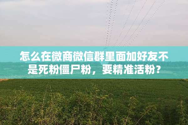 怎么在微商微信群里面加好友不是死粉僵尸粉，要精准活粉？