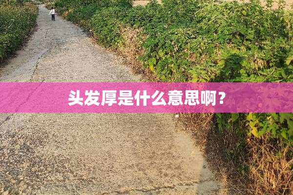 头发厚是什么意思啊？
