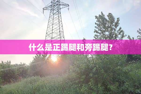 什么是正踢腿和旁踢腿？