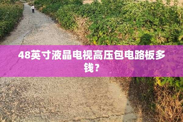 48英寸液晶电视高压包电路板多钱？