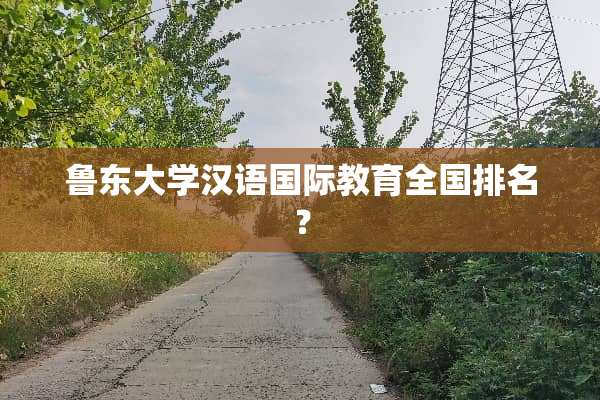 鲁东大学汉语国际教育全国排名？