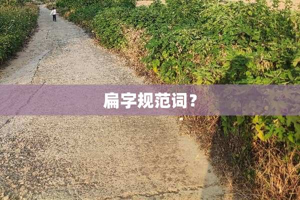 扁字规范词？