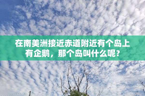 在南美洲接近赤道附近有个岛上有企鹅，那个岛叫什么呢？