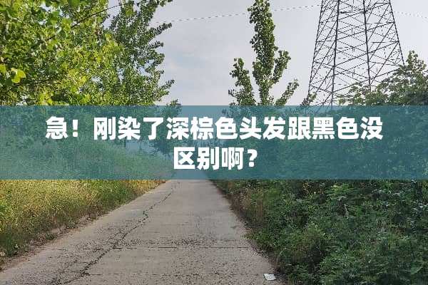 急！刚染了深棕色头发跟黑色没区别啊？