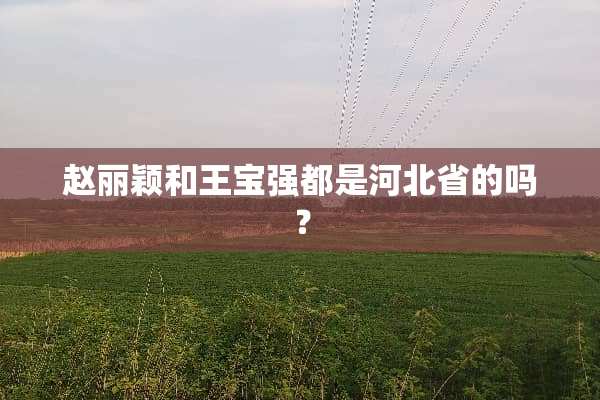 赵丽颖和王宝强都是河北省的吗？