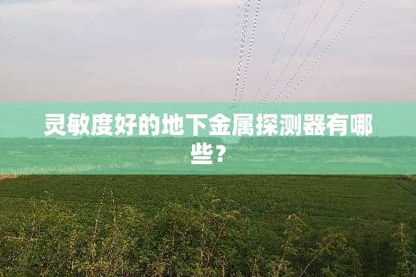 灵敏度好的**金属探测器有哪些？