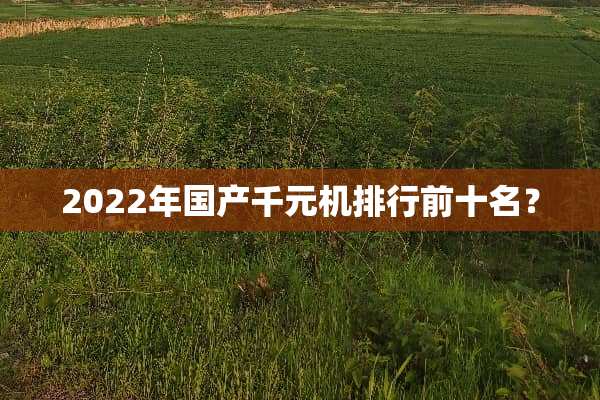 2022年国产千元机排行前十名？