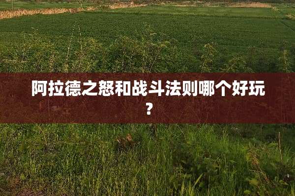 阿拉德之怒和战斗法则哪个好玩？