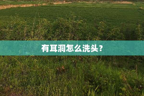 有耳洞怎么洗头？