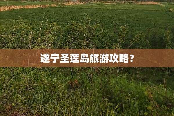 遂宁圣莲岛旅游攻略？