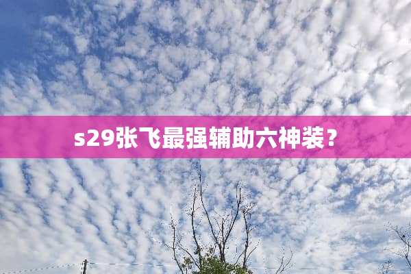 s29张飞最强辅助六神装？