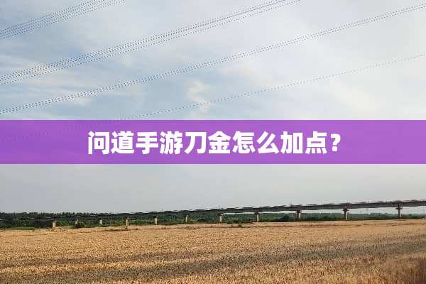 问道手游刀金怎么加点？