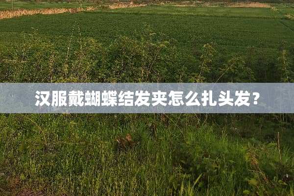汉服戴蝴蝶结发夹怎么扎头发？