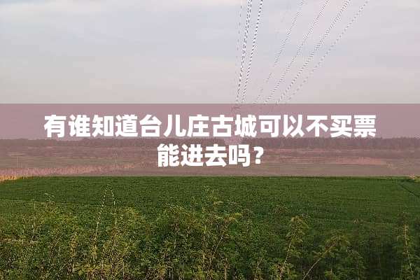 有谁知道台儿庄古城可以不买票能进去吗？
