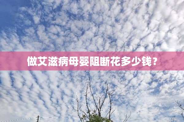 做***母婴阻断花多少钱？