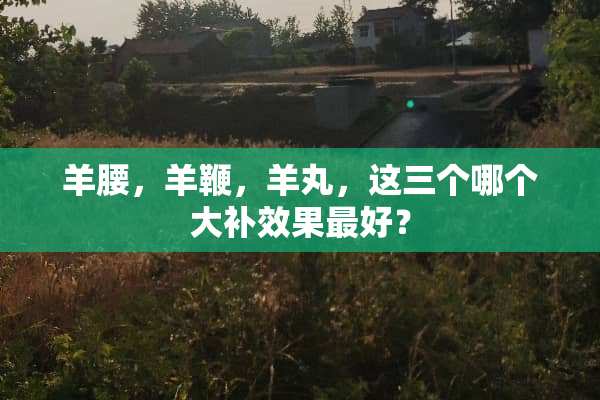 羊腰，羊鞭，羊丸，这三个哪个大补效果最好？