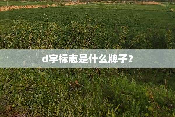 d字标志是什么牌子？