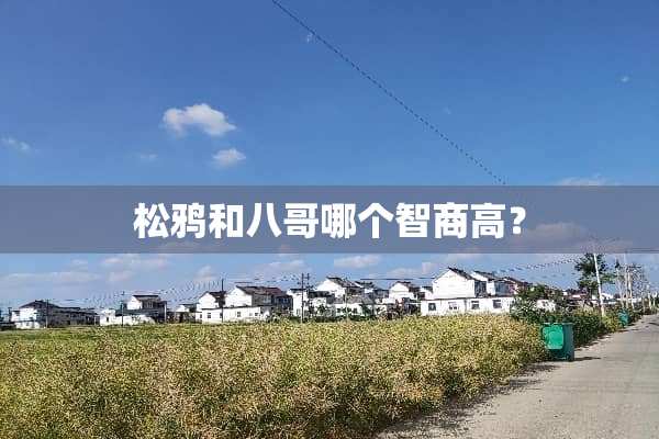 松鸦和八哥哪个智商高？