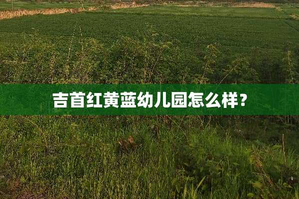 吉首红黄蓝幼儿园怎么样？