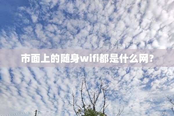 市面上的随身wifi都是什么网？