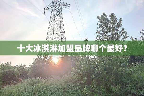 十大冰淇淋加盟品牌哪个最好？