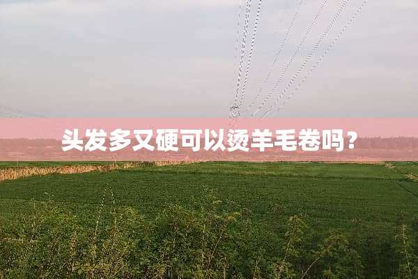 头发多又硬可以烫羊毛卷吗？